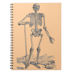 Skeleton Notebook
