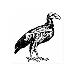 Skeleton of a Bird Rubber Stamp
