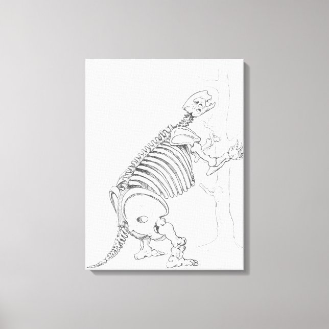Skeleton of a Mylodon Canvas Print (Front)