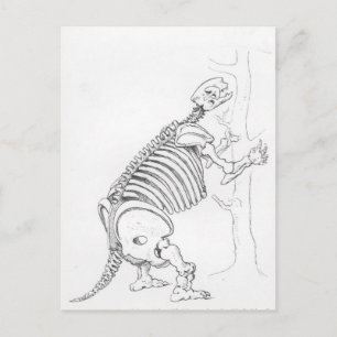 Skeleton of a Mylodon Postcard