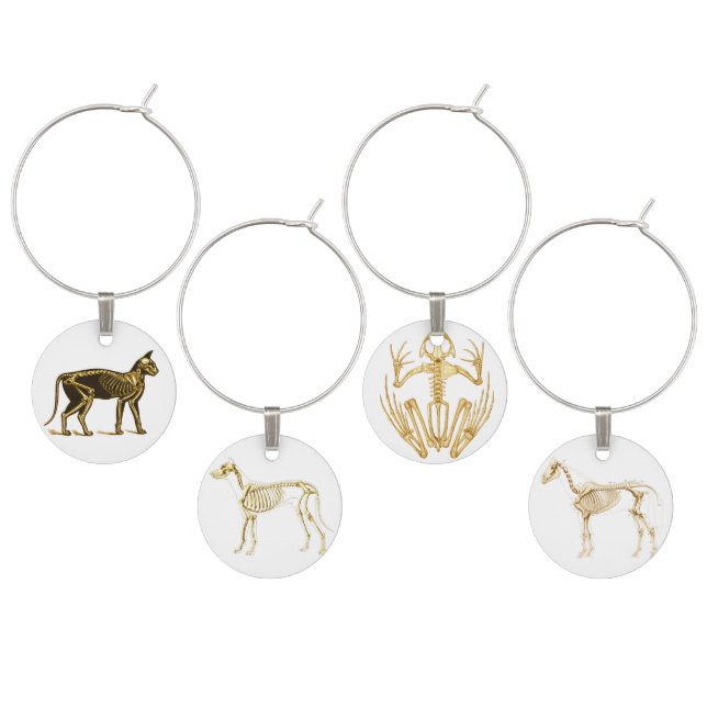 Skeleton of Horse, Dog, Cat and Frog Wine Glass Charm (Staggered)