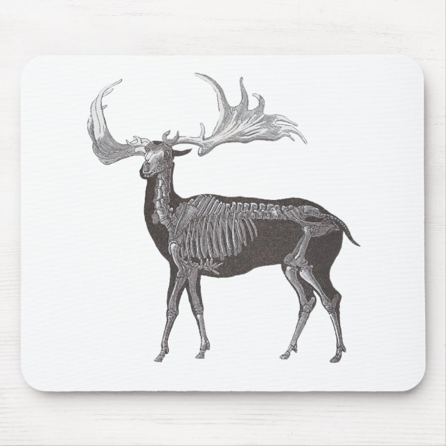 Skeleton of Irish Elk - Megaceros hibernicus Mouse Pad (Front)