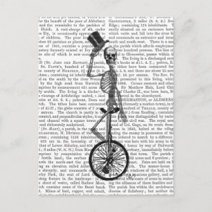Skeleton on Unicycle Postcard