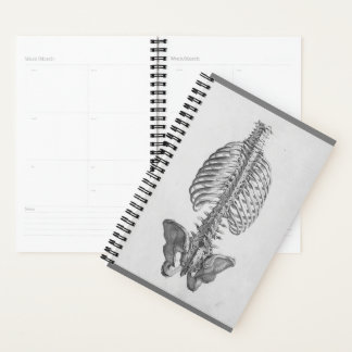 Skeleton planner