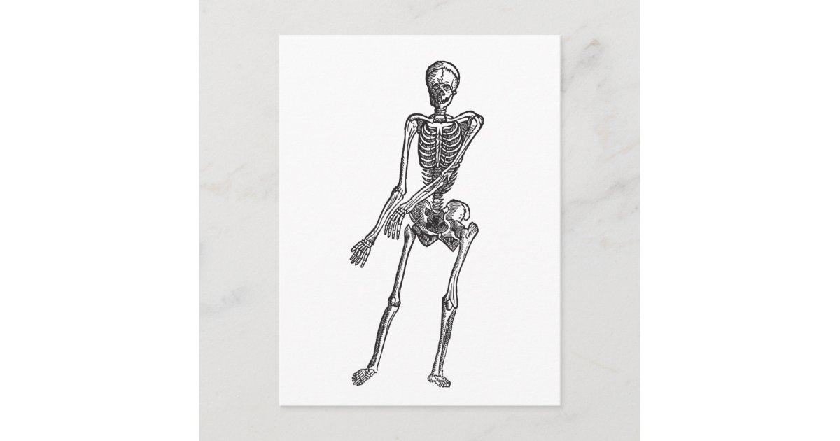 Skeleton Postcard | Zazzle