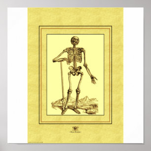 Skeleton Poster