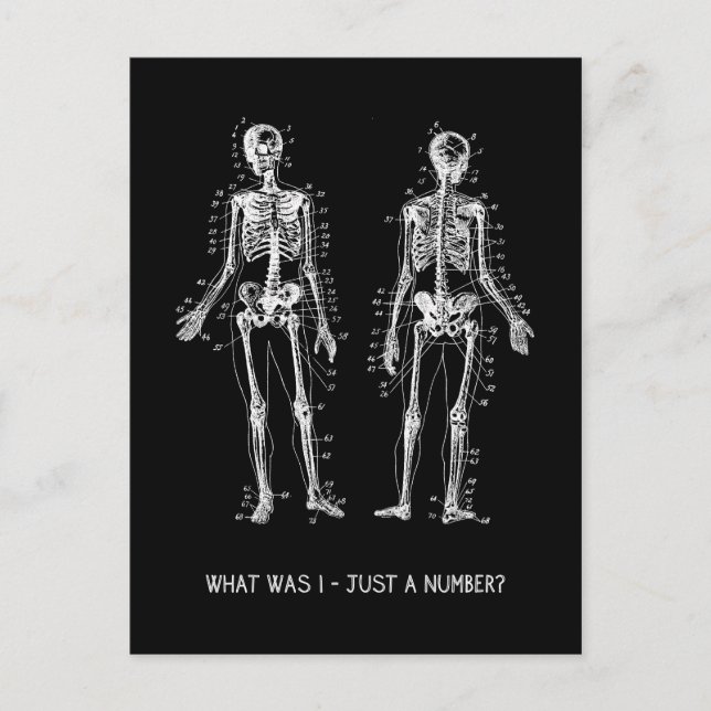 Skeleton Questions for Halloween Postcard (Front)