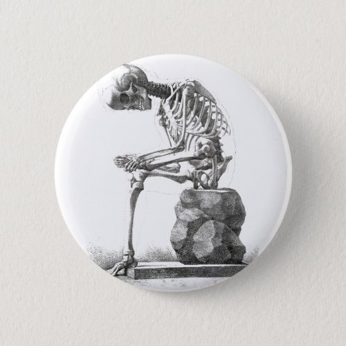 Skeleton Sitting Anatomy Illustraiton Button