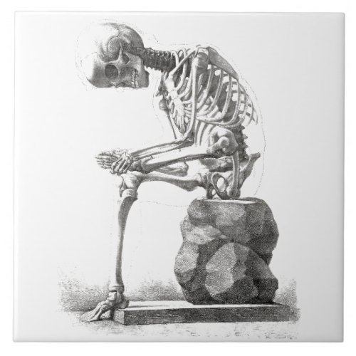 Skeleton Sitting Anatomy Illustraiton Ceramic Tile