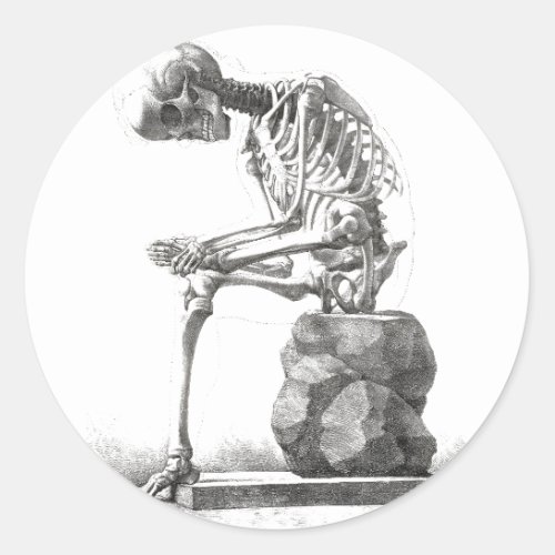 Skeleton Sitting Anatomy Illustraiton Classic Round Sticker