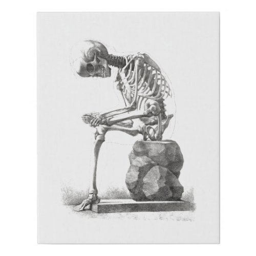 Skeleton Sitting Anatomy Illustraiton Faux Canvas Print