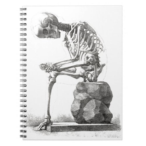Skeleton Sitting Anatomy Illustraiton Notebook