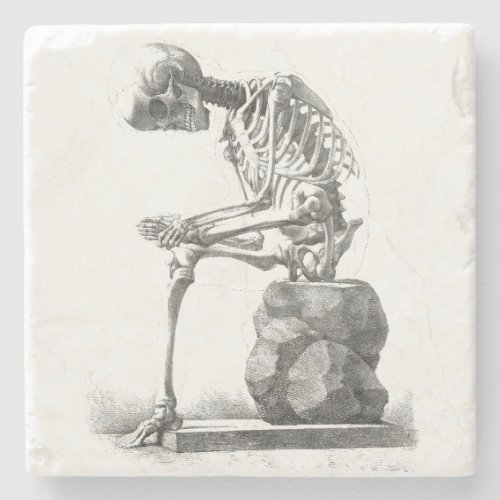 Skeleton Sitting Anatomy Illustraiton Stone Coaster