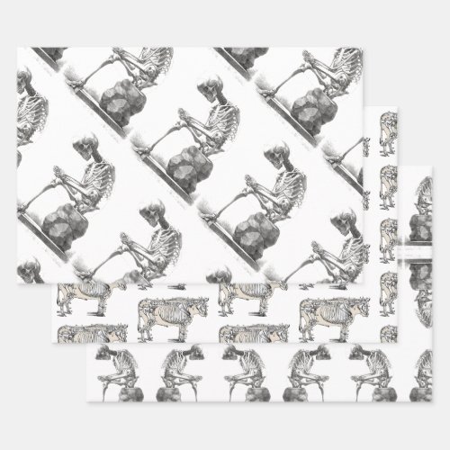 Skeleton Sitting Anatomy Illustraiton Wrapping Paper Sheets