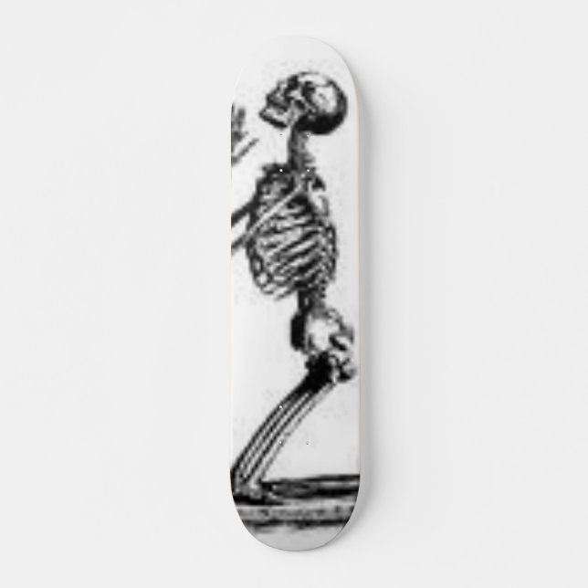 skeleton skateboard deck (Front)