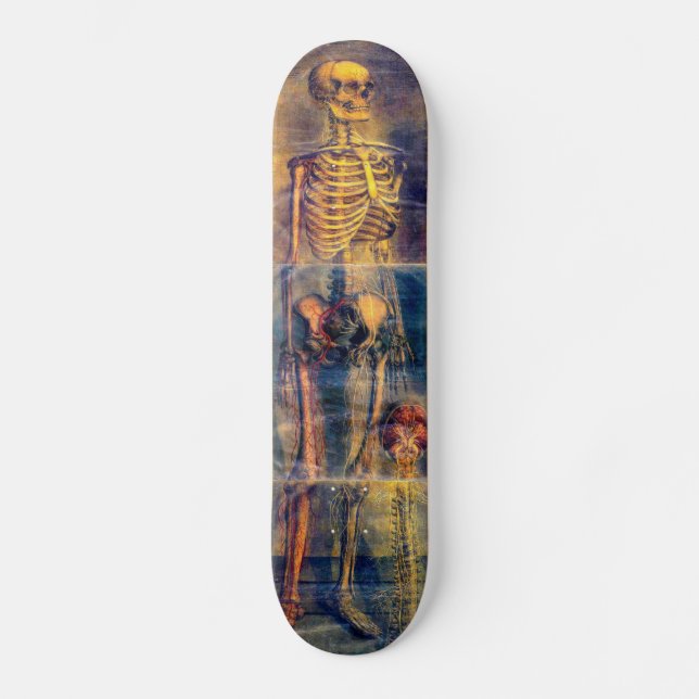 Skeleton Skateboard Deck (Front)