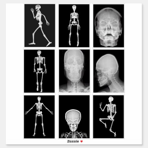 skeleton Skull Human Body XRAYS Collage sheet art  Sticker