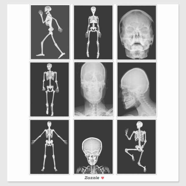 skeleton Skull Human Body XRAYS Collage sheet art  Sticker (Sheet)