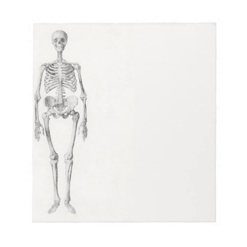 Skeleton Skull Notepad