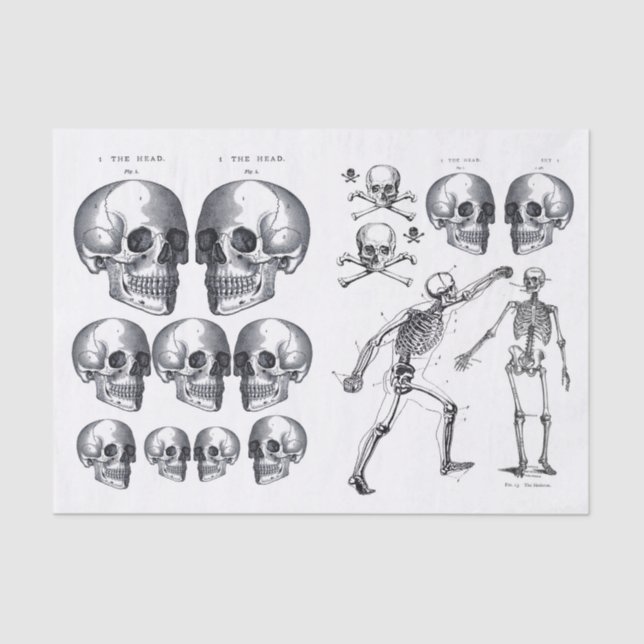 Skeleton Skulls Skull n Bones Decoupage Collage Ti Tissue Paper (Front)