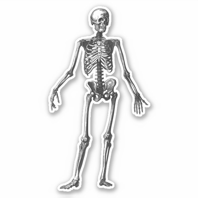Skeleton Sticker (Front)