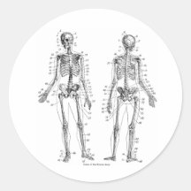 Skeleton Stickers