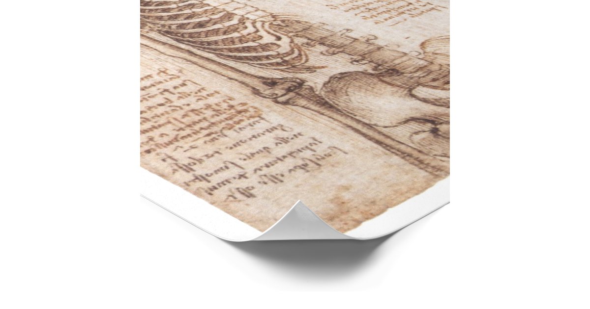 Skeleton Studies, Leonardo Da Vinci, 1510 Poster | Zazzle