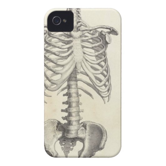 Skeleton Torso Case-Mate iPhone Case (Back)