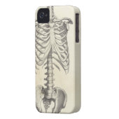 Skeleton Torso Case-Mate iPhone Case (Back Left)