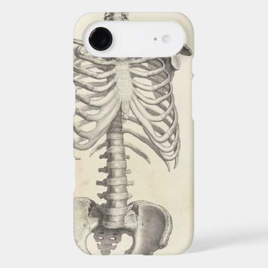 Skeleton Torso Case-Mate iPhone Case (Back)