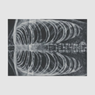 Skeleton Xray Rib Cage Vintage Black White Gothic Tissue Paper