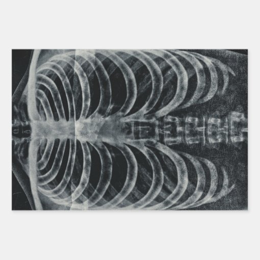 Skeleton Xray Rib Cage Vintage Black White Gothic Wrapping Paper Sheets