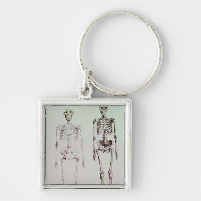 Skeletons of Australopithecus Boisei Keychain (Front)