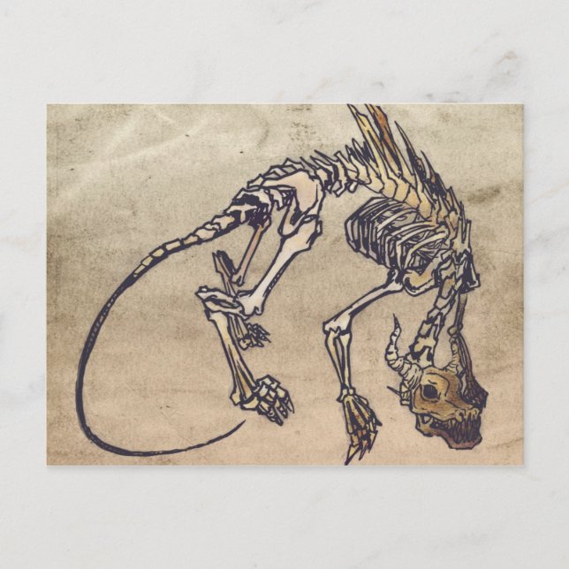 Skellie Postcard (Front)