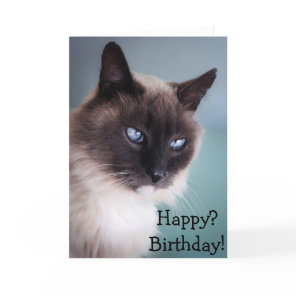 Skeptical or grumpy cat: Happy? Birthday! Card