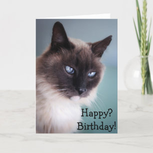 Skeptical or grumpy cat: Happy? Birthday! Card