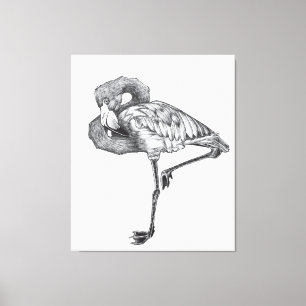 Sketch American BW Flamingo Funny Flamingo Canvas Print