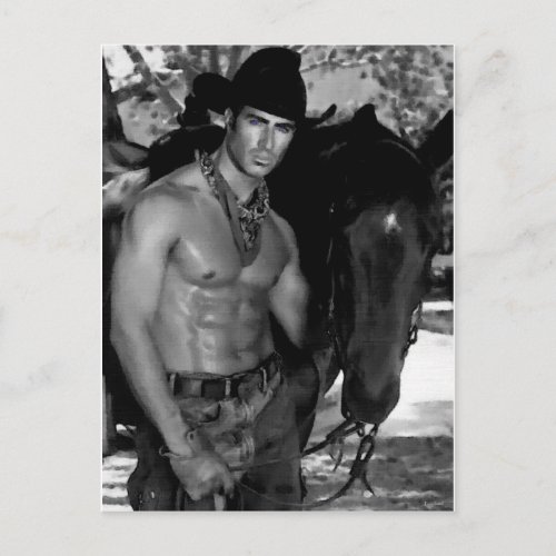Sketch  Cowboy  Horse Postcard