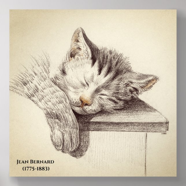 Sketch Of A Sleeping Cat by Jean Bernard  Acrylic Photo Tile (Front Set)