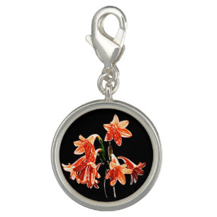 Sketch of Daylilies - Mandarin orange and Rust Charm