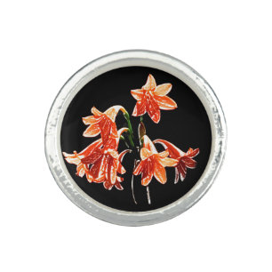 Sketch of Daylilies - Mandarin orange and Rust Ring