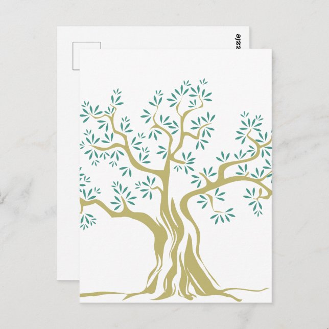 Sketch of Olive Tree Postcard – Minimalist  (Front/Back)