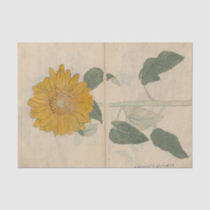 Sketchbook Pl. 103 by Ariyoshi Kondo Tissue Paper