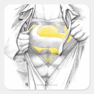 Sketched Chest Superman Logo Square Sticker