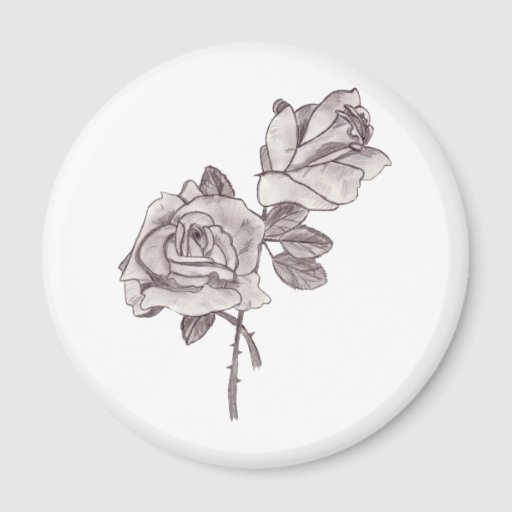 Sketched Roses Magnet | Zazzle