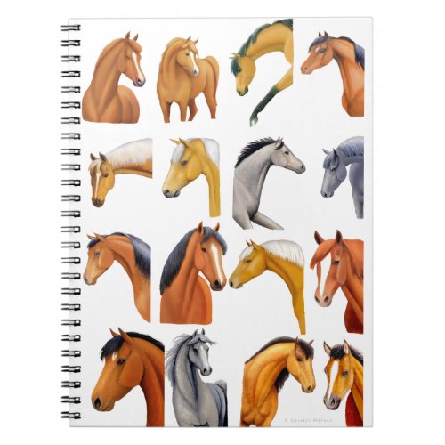 Sketches of Horses Notebook