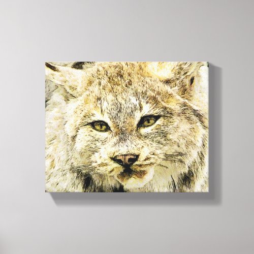 Sketchy Wildcat Canvas Print