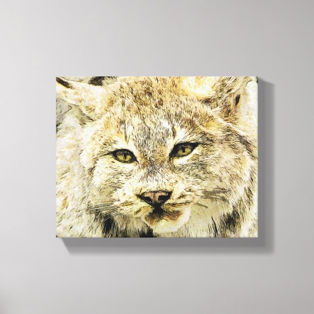 Sketchy Wildcat Canvas Print (Front)