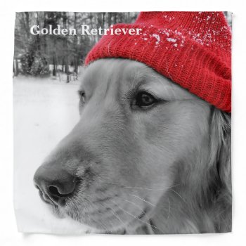 Ski Dog Golden Retriever Bandana by artinphotography at Zazzle