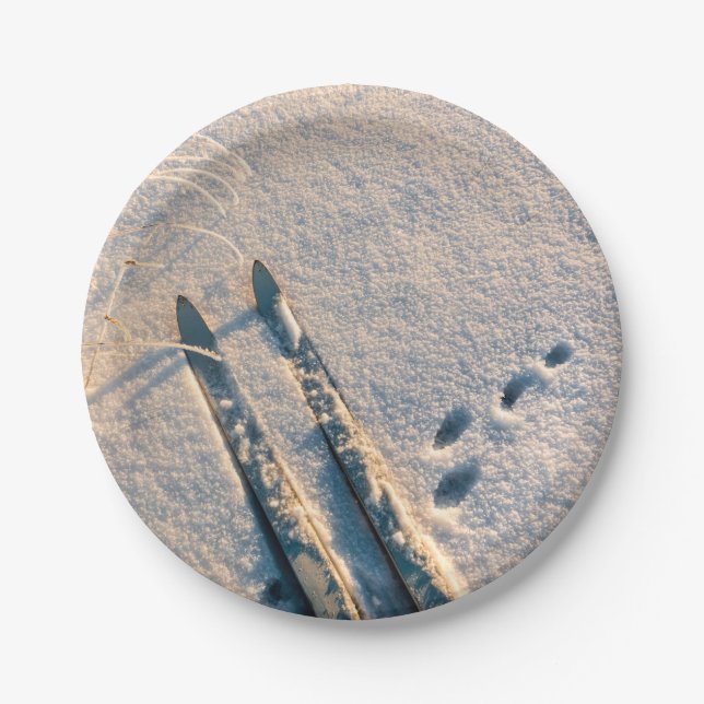 Ski track paper plates (Front)